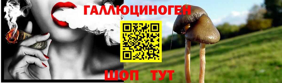 Галлюциногенные грибы мицелий  Псилоцибиновые грибы Magic Shrooms  Белгород 