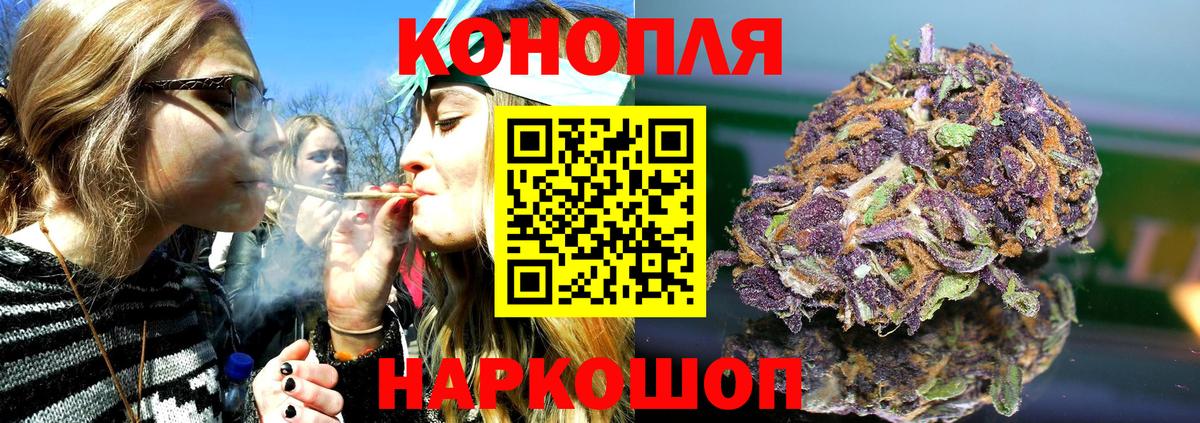 Бошки Шишки семена  Вход с VPN  Марихуана гибрид  Бошки Шишки THC 21%  Канабис AK-47  Белгород 
